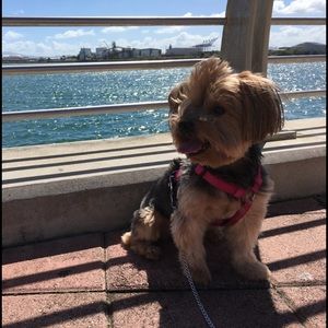 Meet your Posher, Noemi